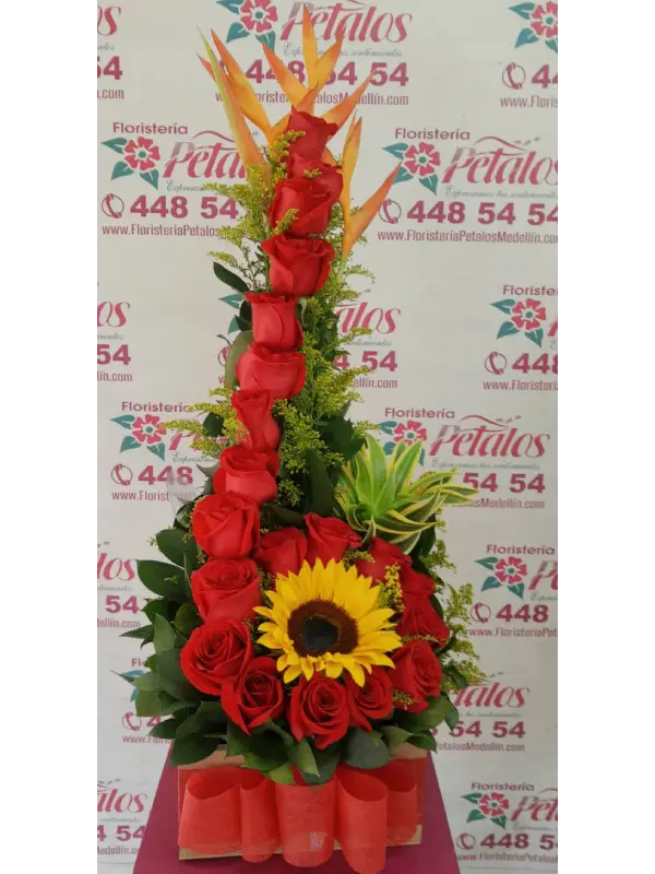 flores-floristeria-medellin-eres-un-amigo-muy-especial-floristeria-medellin